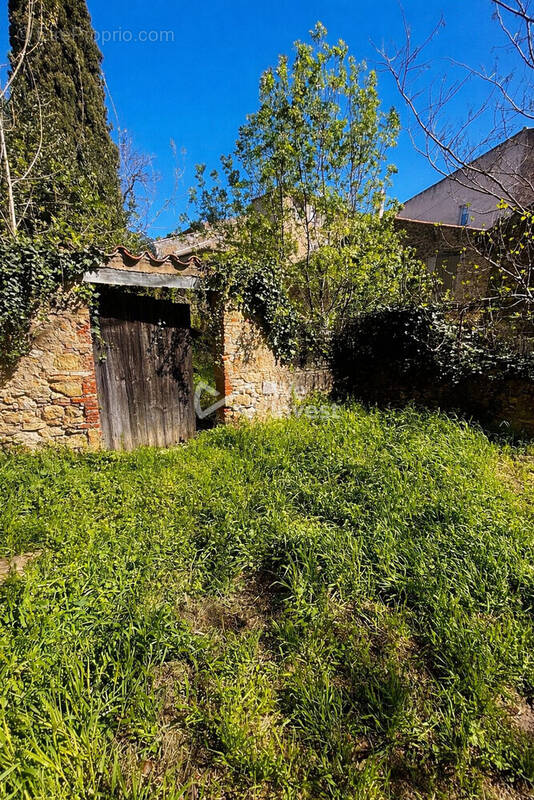 Terrain à MONTFORT-SUR-ARGENS