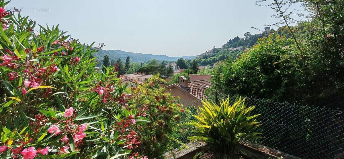 Photo 8 - Maison à VILLENEUVE-LOUBET