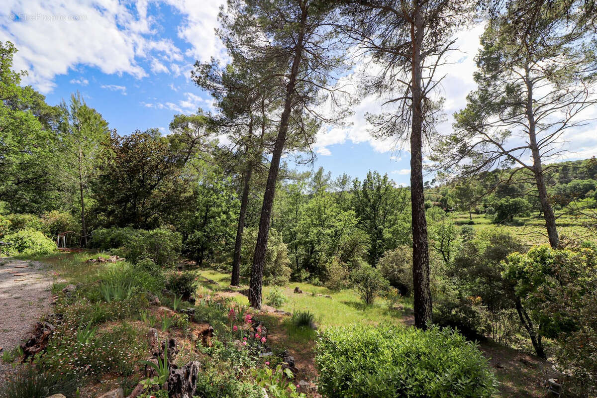 Villa traditionnelle avec piscine et pool house sur 6000m2 - photo 11