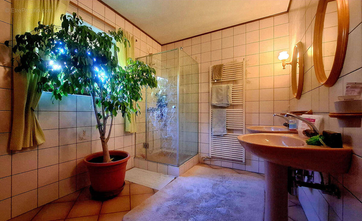 Maison à KATZENTHAL