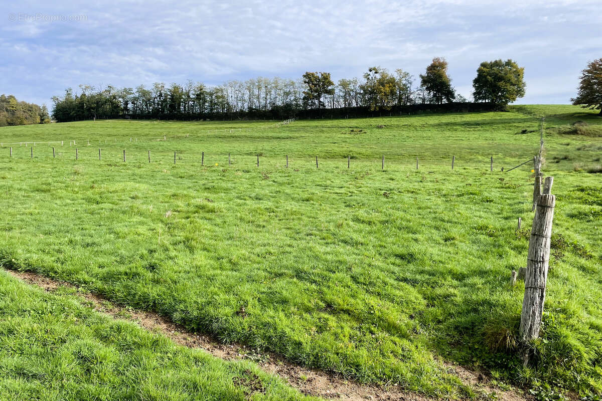 Terrain à VARENNE-SAINT-GERMAIN