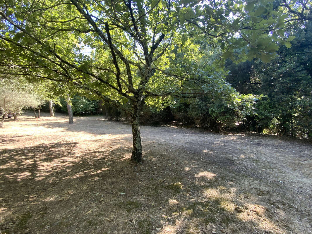 Terrain à UZES