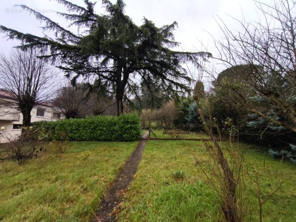 Terrain à BEAUMONT-LES-VALENCE