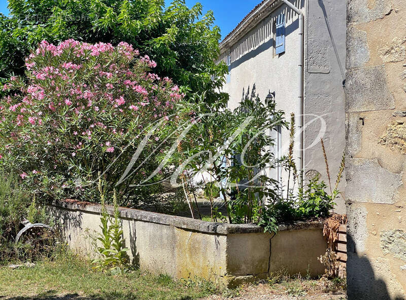 Maison à vendre 10 pièces bonneville et saint avit de f (24) - photo 2