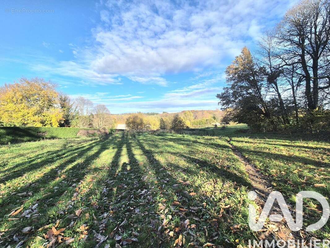 Photo 5 - Terrain à LE CHASTANG