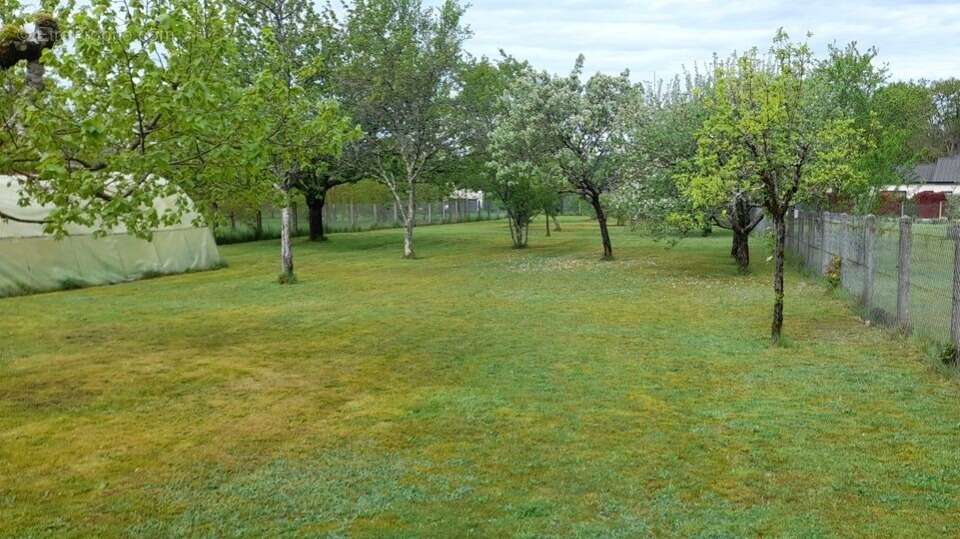 Terrain 1050 m² à Couzeix  - photo 2