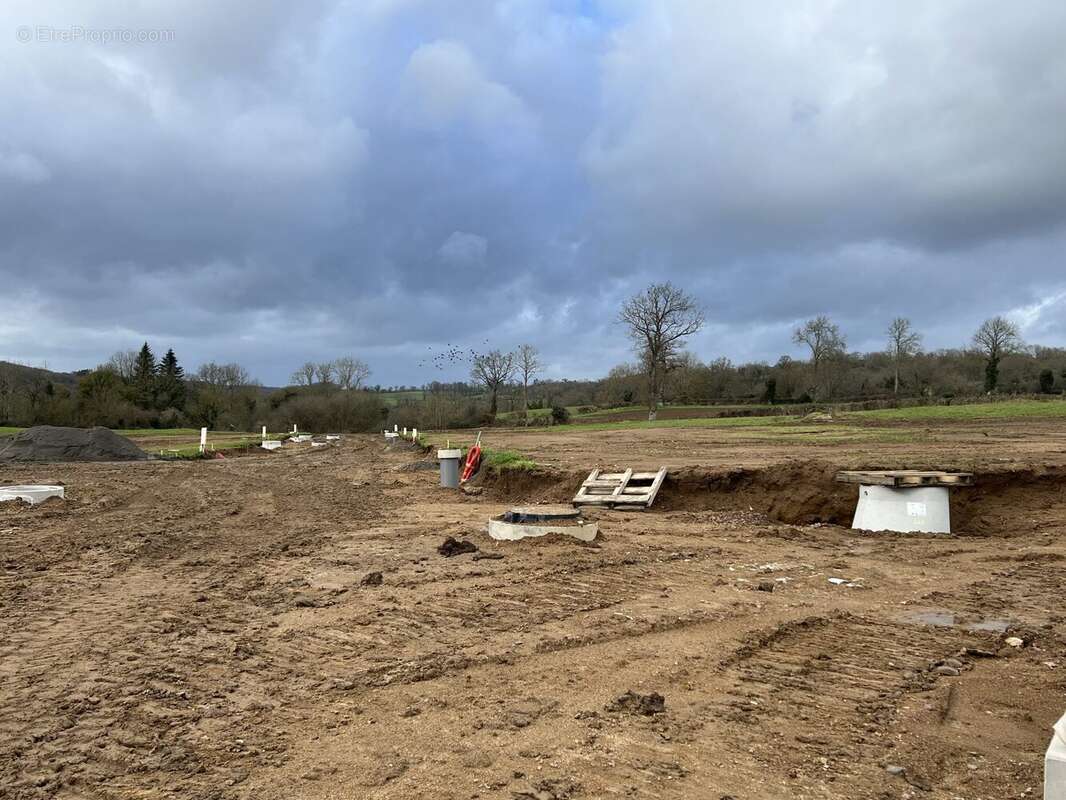 Terrain à LA LANDE-DE-LOUGE