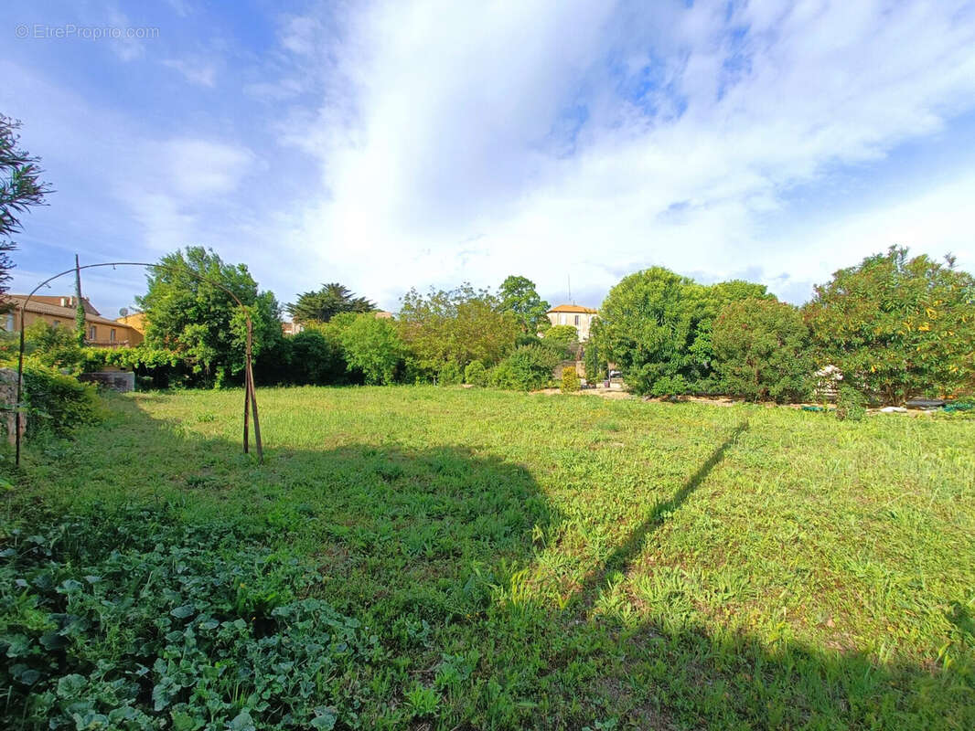 Terrain à CAZOULS-LES-BEZIERS