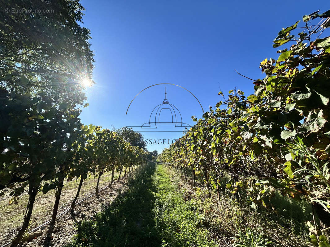 Terrain à SAINT-BRES
