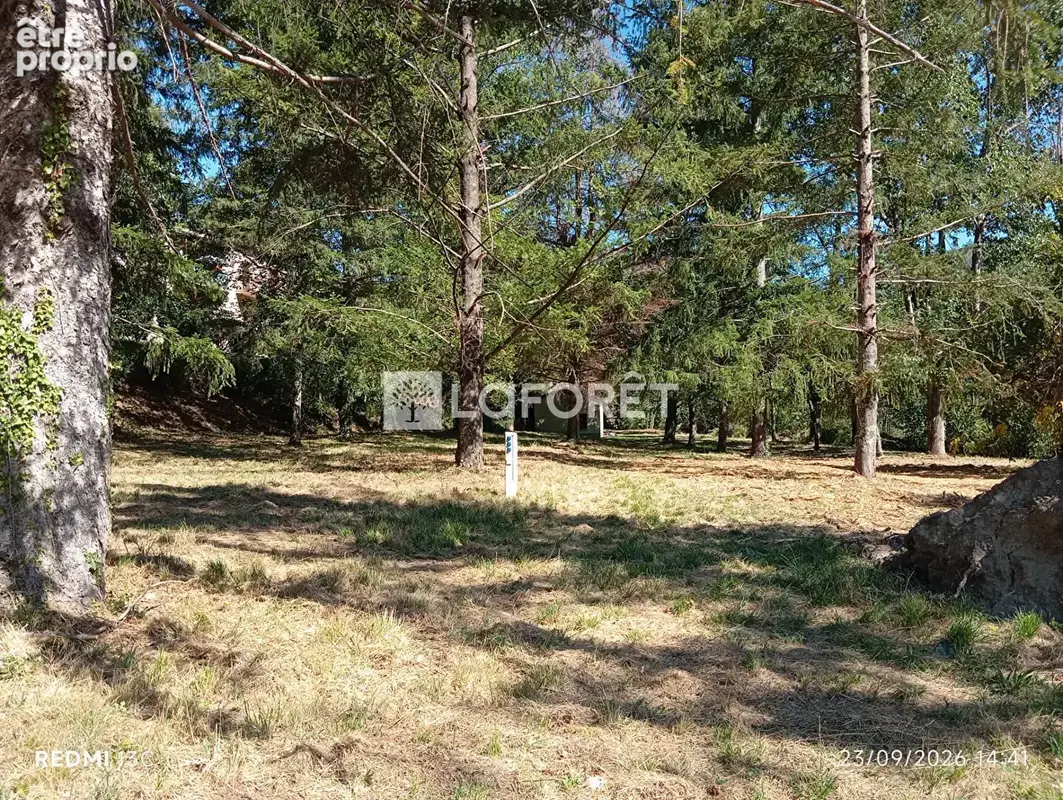 Ancien camping / 2,15 ha - prats de mollo - photo 9