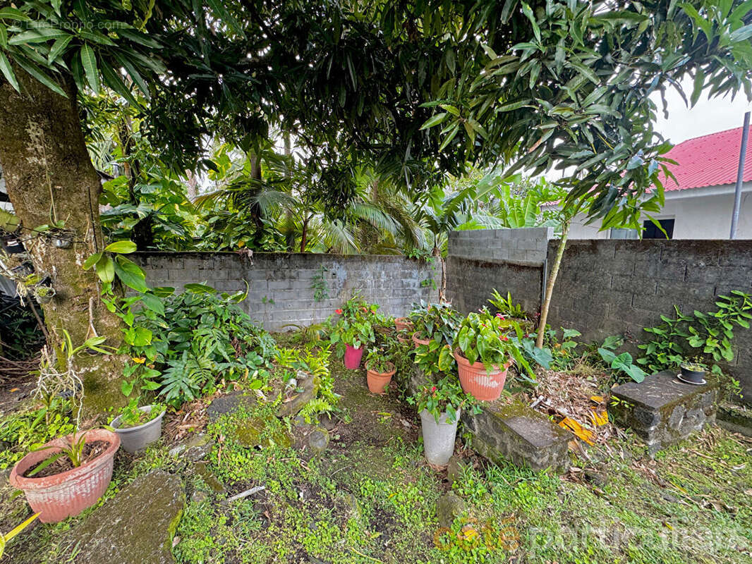 Maison à SAINT-PHILIPPE