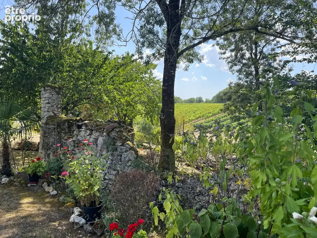 Charmante propriété avec maison d’amis, jolis jardins et vue sur les vignes - photo 14