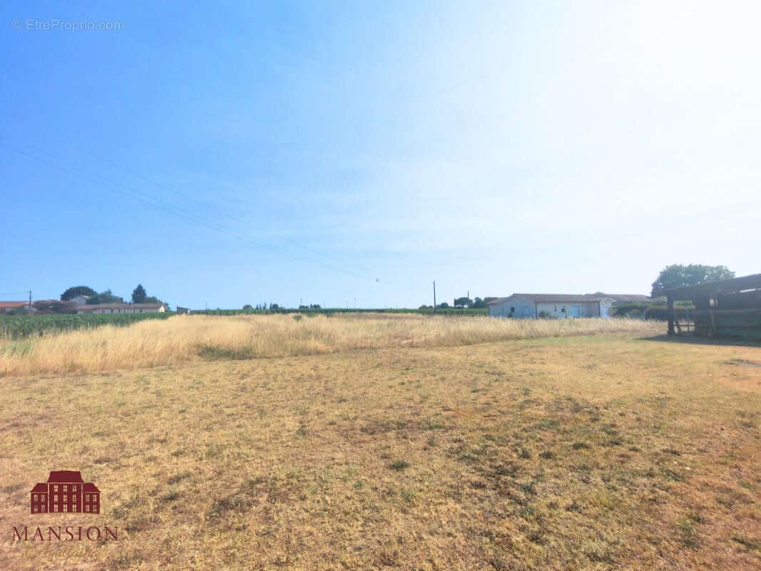 Ancien séchoir avec terrain constructible - photo 3