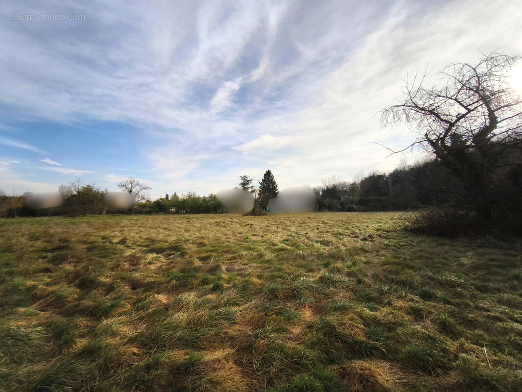 Terrain à SAINT-BONNET-DE-MURE