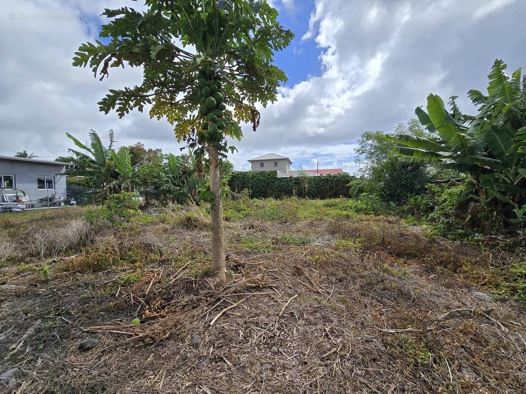 Terrain à BRAS-PANON