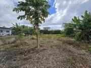 Terrain à BRAS-PANON