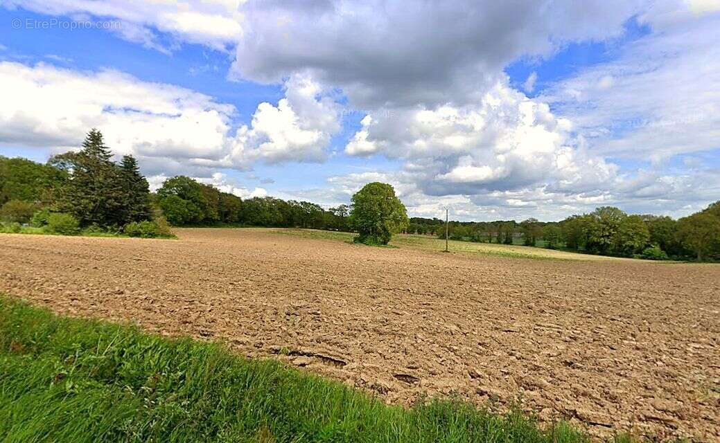 Terrain à BEIGNON