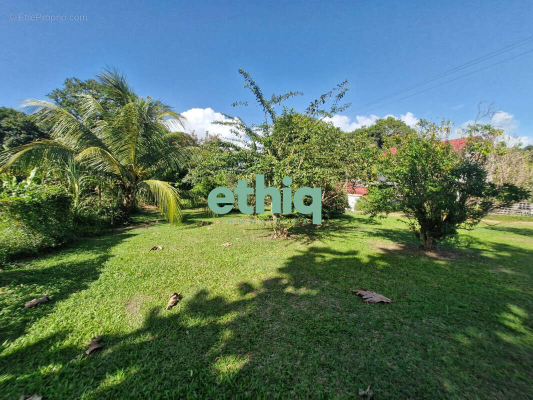 Terrain à SAINTE-ROSE