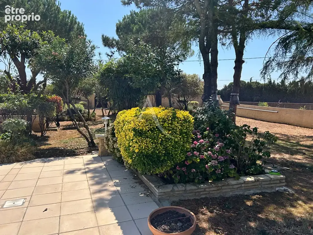 Maison proche CARCASSONNE avec parc arboré et piscine - photo 17