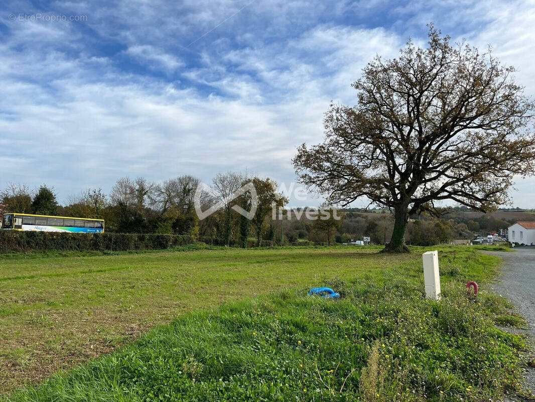 Terrain à MOUCHAMPS