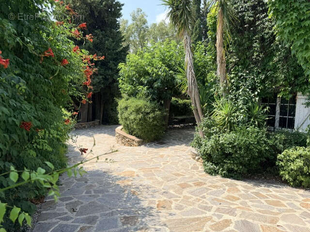 GOLF DE SAINT TROPEZ: propriété  de charme en pleine nature - photo 5