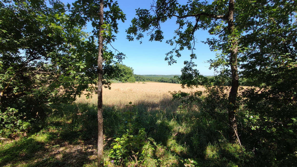 Terrain à MONTAIGU-DE-QUERCY