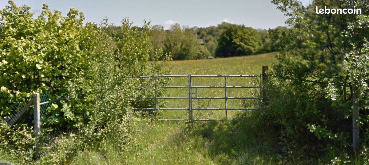 Terrain à LE BREUIL-EN-AUGE