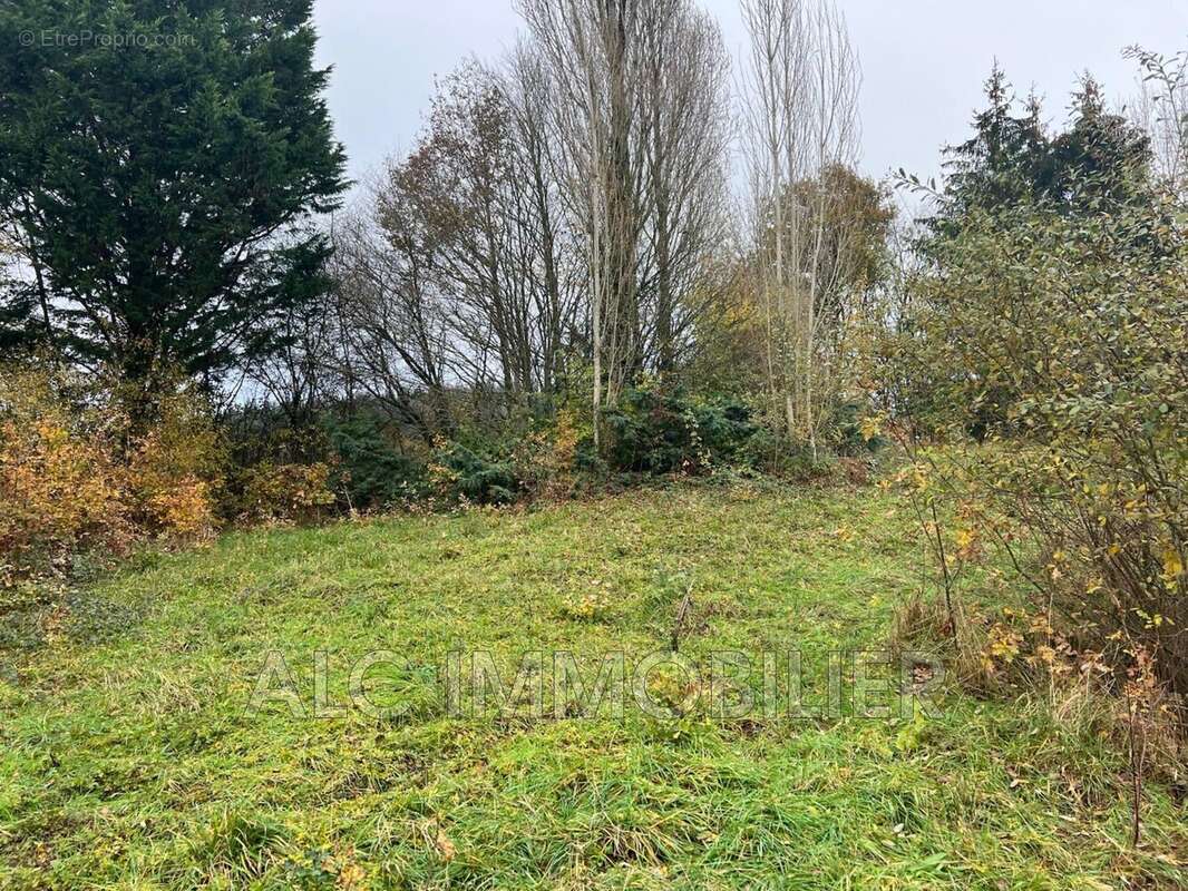 Terrain à CHAMPFLEUR