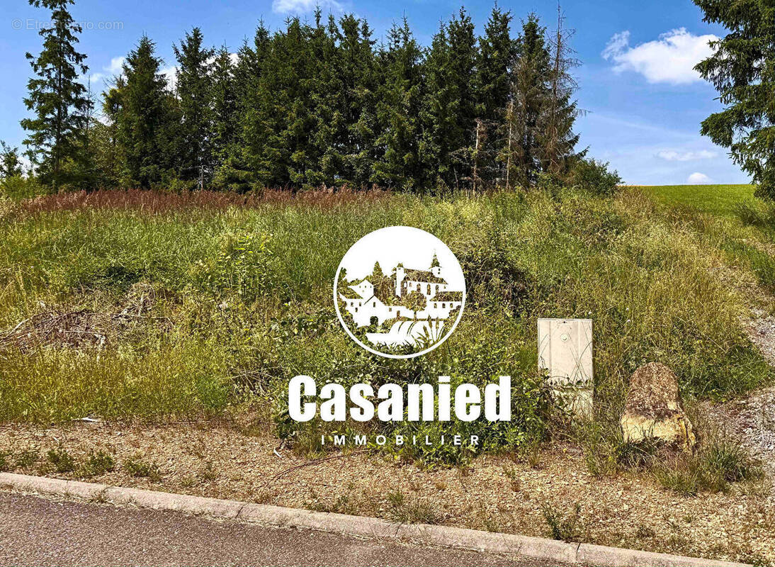 Terrain à OBERDORFF