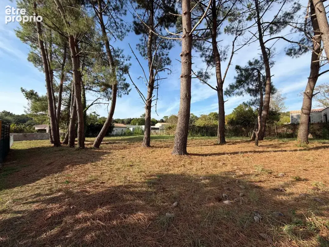 Terrain saint palais sur mer - photo 2