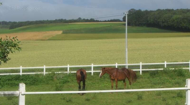 Domaine Equestre avec Gites 20min Châtellerault - photo 12
