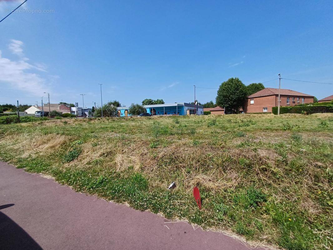 Terrain à SALLAUMINES