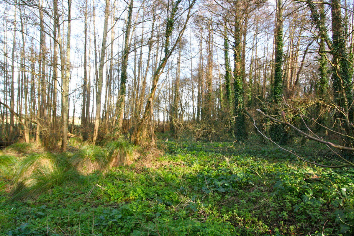 Terrain à SAINT-BREVIN-LES-PINS