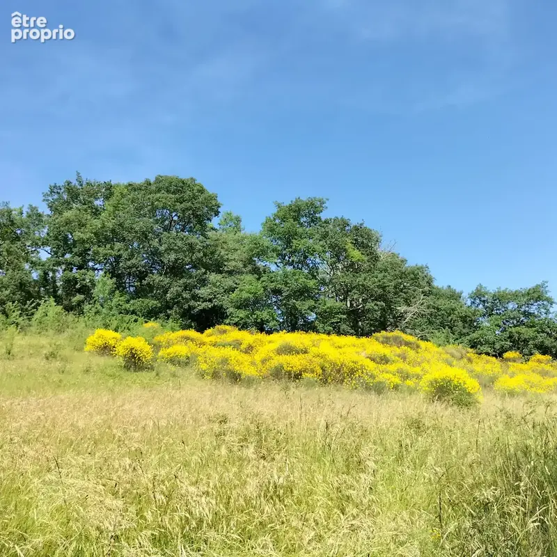 maison de campagne paradis au calme sur 4ha , 5 min de Simorre - photo 7