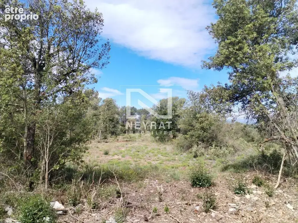Montauroux - superbe terrain en zone naturelle   5 hectares ! - photo 5
