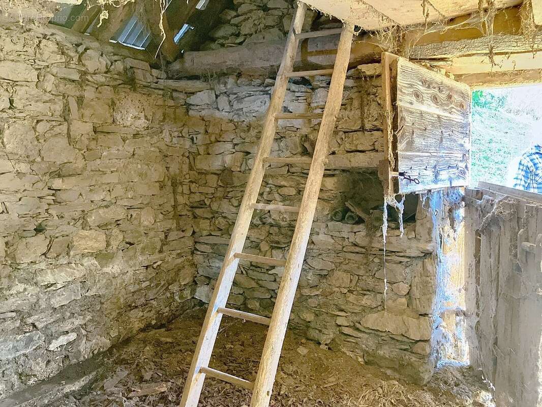 Grange en surplomb du Bourrinquets, Arbéost, en Val d'Azun - photo 7