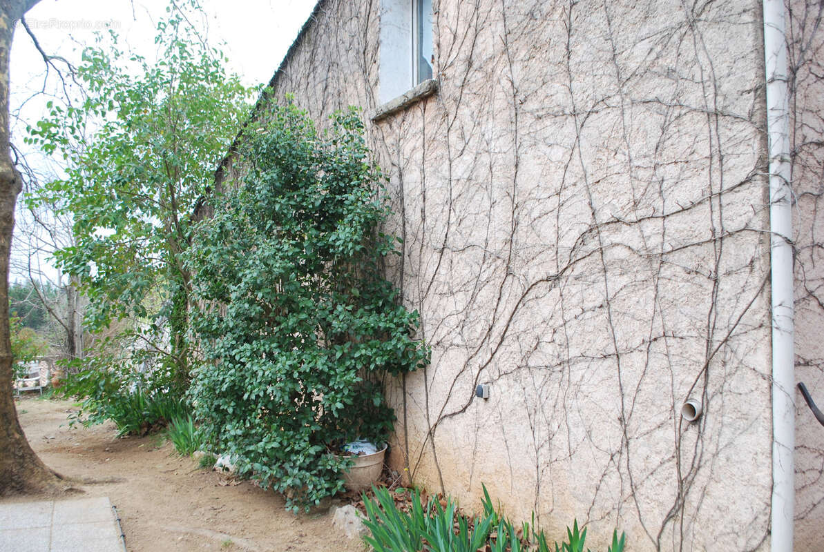 Maison à SALERNES