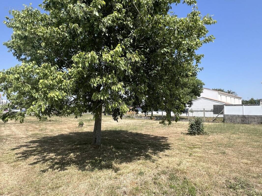 Terrain à LA ROCHELLE