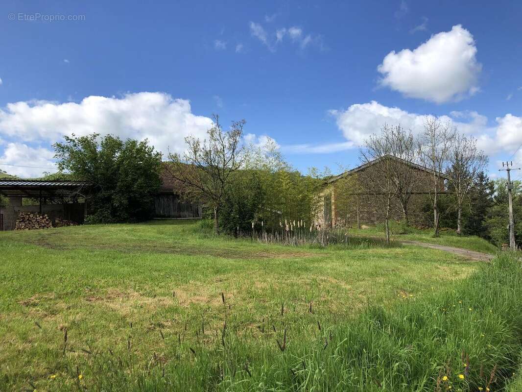 Photo 3 - Maison à AMPLEPUIS