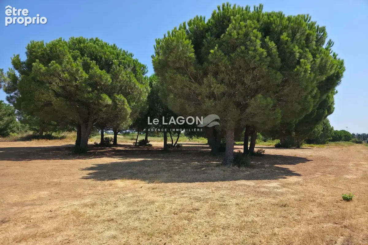 Terrain 274 m² à vendre à Latour-Bas-Elne (66200) - photo 2