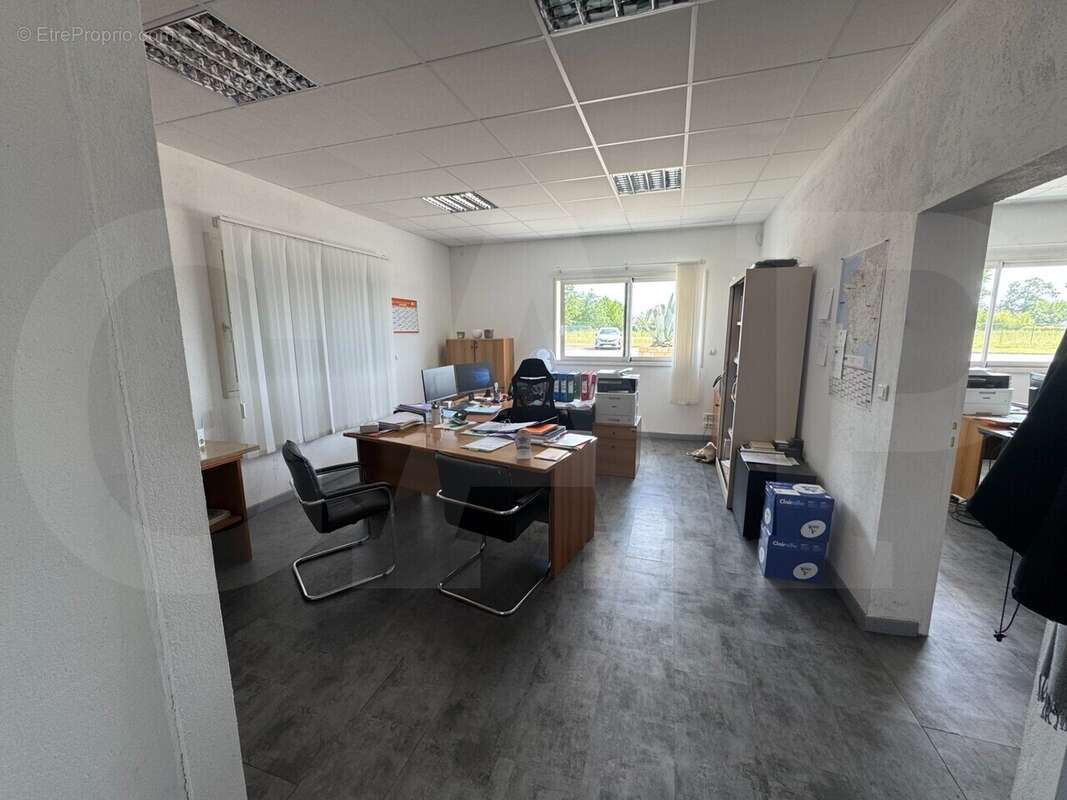 1200 m² à Bourgbarre  - photo 10
