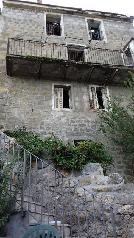 Maison à OLMETO
