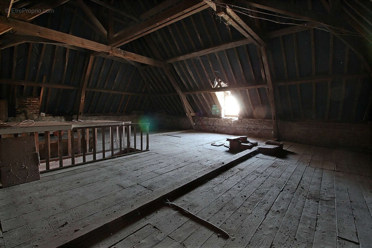 LE PULEY , immeuble à usage commercial et d'habitation - photo 14