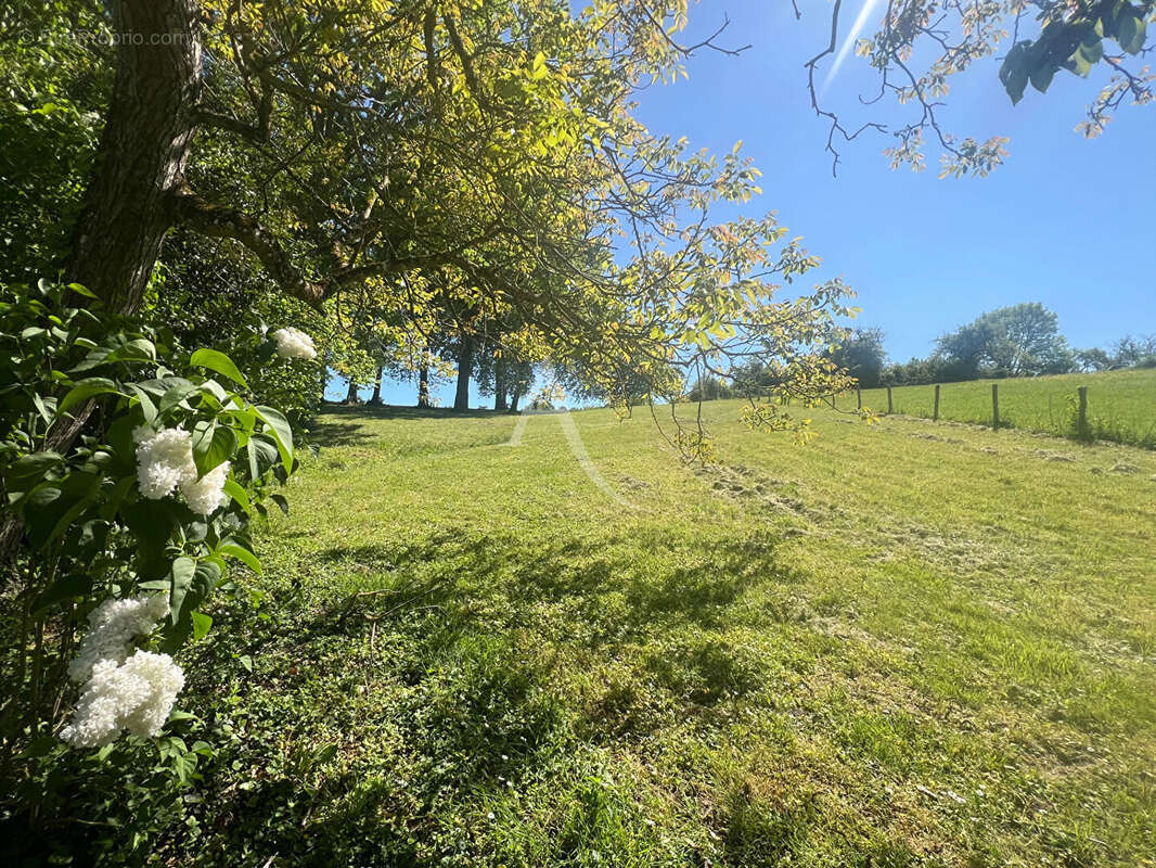 Terrain à CHISSAY-EN-TOURAINE