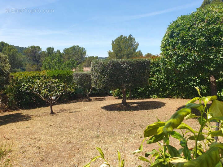 Maison 8 pièces / 100 m² / 425 000 EUR / SALERNES - photo 7