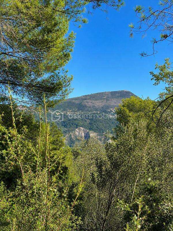 Terrain avec permis – 4 104 m² – vue dégagée – calme absolu - libre de constructeur - photo 6
