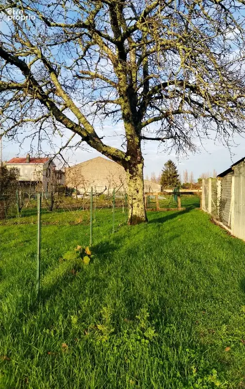 Proche Saintes  - Maison charentaise avec jardin et dépendance - photo 18