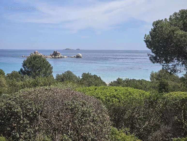 Maison à PORTO-VECCHIO