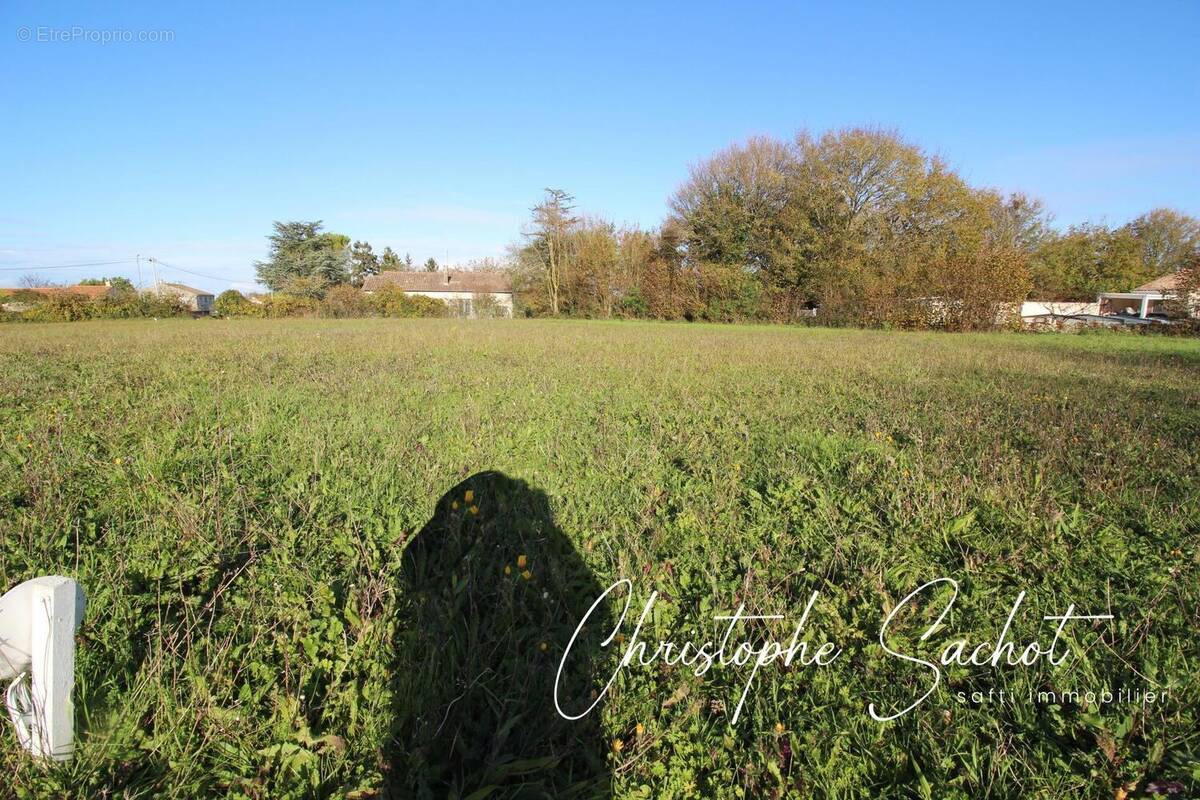 Photo 1 - Terrain à LA FOYE-MONJAULT