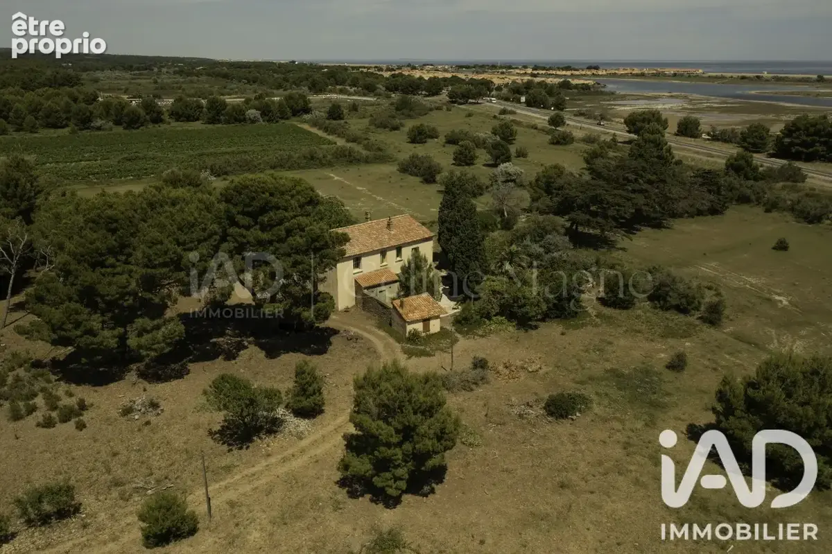 Photo 1 - Maison à GRUISSAN